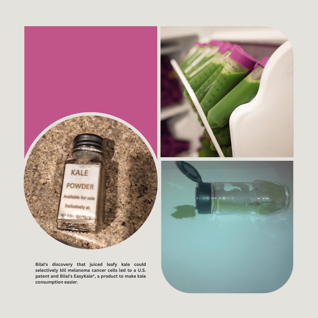 Collage depicting Bilal's easykale making process with a deep magenta theme, featuring Bilal's EasyKale powder sold in a container, tested in another container, and lab-made kale juice samples stored in the fridge.
