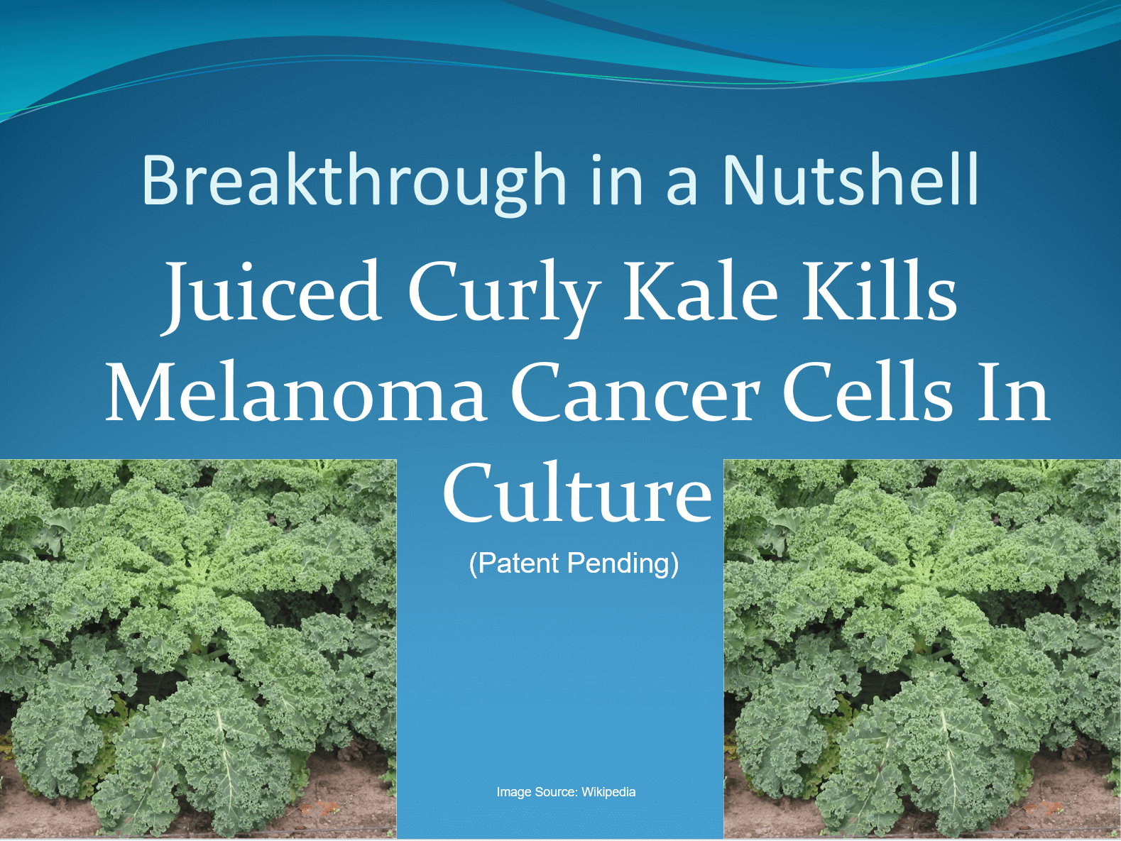 PowerPoint slide from Bilal Qizilbash's 2016 Innovate MS Talk showcasing his cancer breakthrough with kale in a nutshell.