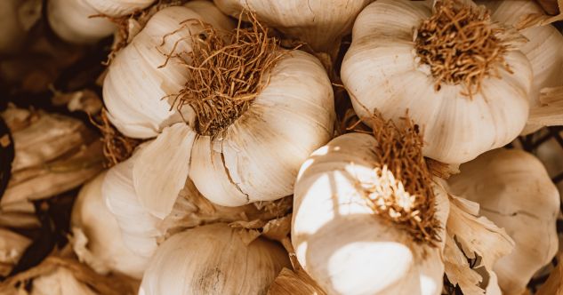 Fresh bulk garlic basking under the warm sunlight, radiating its natural vibrant essence.