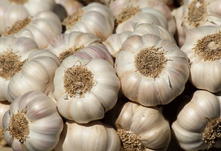 Sun-kissed, fresh white bulk garlic, harvested at its peak, showcasing its vibrant color and natural beauty.