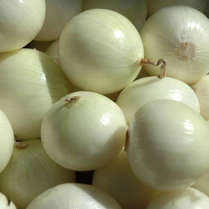 Sun-kissed pure white onions in bulk, radiating freshness and pristine quality.
